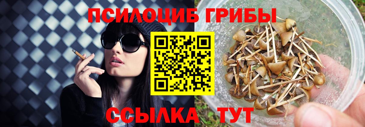 купить наркотик  Псилоцибиновые грибы ЛСД  Кизилюрт  Вход с VPN  Галлюциногенные грибы GOLDEN TEACHER 