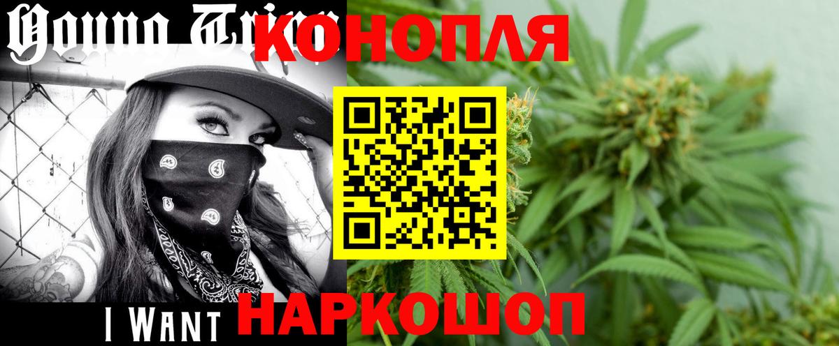 Бошки марихуана THC 21%  Марихуана конопля  Вход с VPN  Бошки Шишки конопля  Кизилюрт 